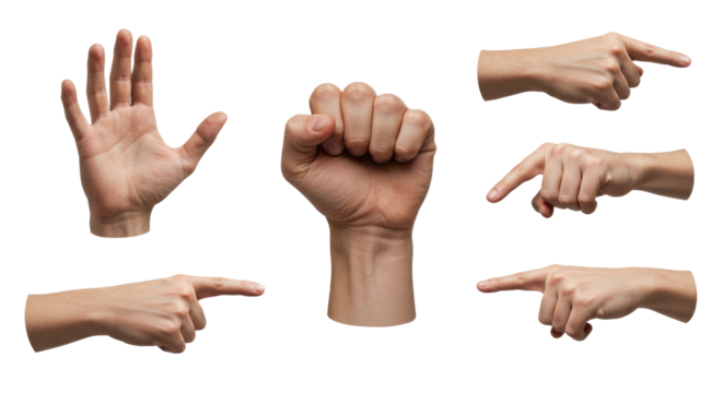 Diverse Human Hand Gestures Open Palm Fist Pointing Fingers.