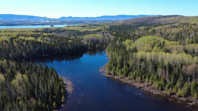 Aerial view of a picturesque forest surrounding two peaceful lakes under a clear sky. A peaceful atmosphere ideal for lovers of nature, landscapes, and the outdoors. Matapedia Valley, Quebec, Canada.