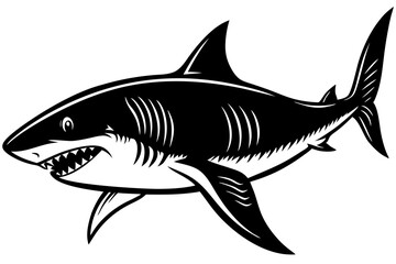 Obraz premium Great white shark vector illustration isolated on white, a predatory marine animal