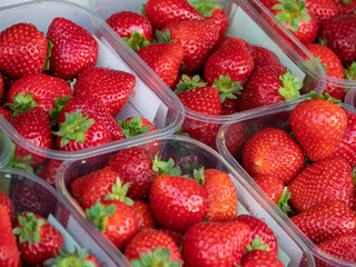 Freshly Harvested Red Strawberries in Clear Containers