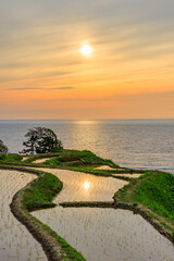 初夏の白米千枚田と夕日　石川県輪島市　Shiroyone Senmaida terraces and sunset in...