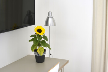 girasole sul tavolo di una camera da letto di un albergo