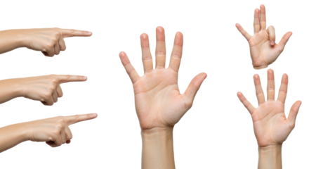 Human Hands in Various Gestures on White Background 6.