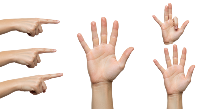 Human Hands in Various Gestures on White Background 6.