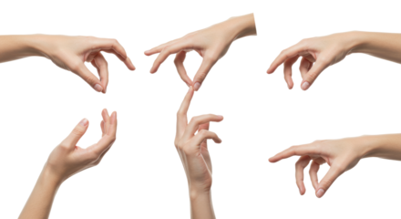 Human Hands in Various Gestures on White Background 9.
