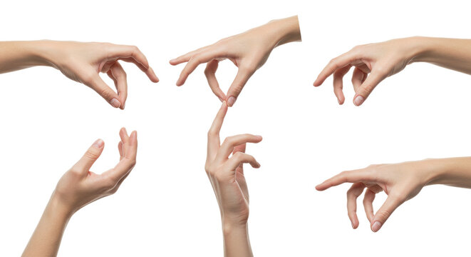 Human Hands in Various Gestures on White Background 9.