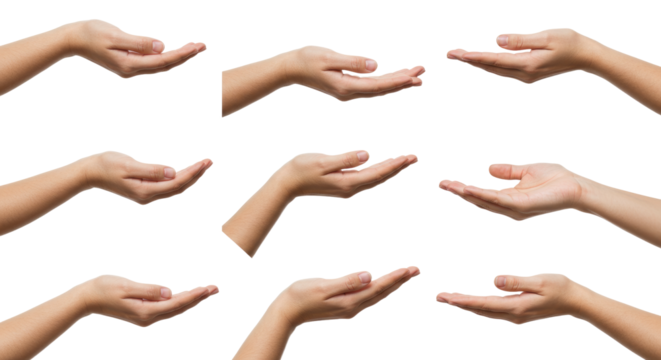 Multiple Caucasian Hands Offering or Presenting on White Background.