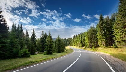 Fototapeta premium asphalt road curving through a lush pine forest under a partly cloudy sky