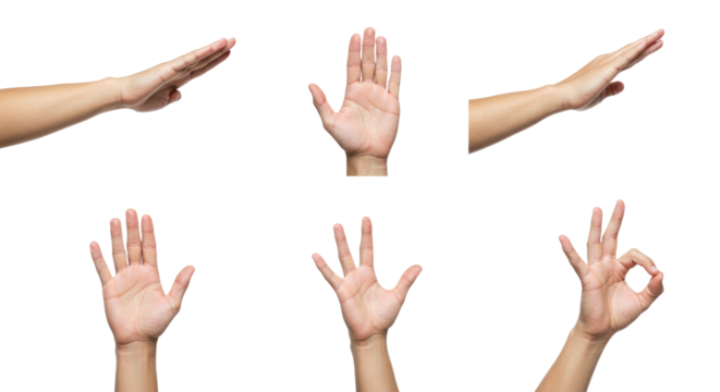 Multiple Human Hands Posing in Various Gestures on White Background.
