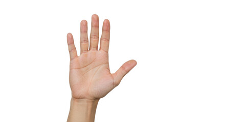 Open Palm of a LightSkinned Hand on White Background.