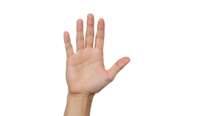 Open Palm of a LightSkinned Hand on White Background.