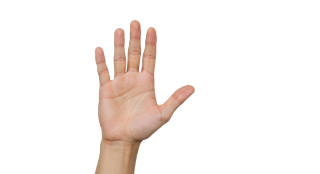 Open Palm of a LightSkinned Hand on White Background.