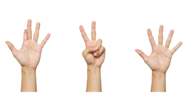 Three Hands Showing Numbers One Two and Five.