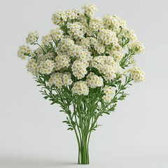 A beautiful bouquet of white and yellow flowers arranged naturally on a simple white image background