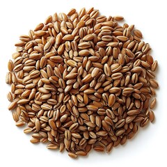 A close up shot of a pile of organic brown wheat seeds against a white background image