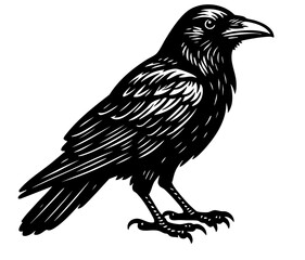 Raven