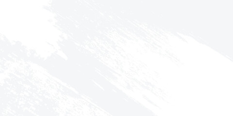 Abstract blurred background. The shadow reflection of leaves and gray light lines. on the white surface concrete wall. for wallpaper, backdrop and design.