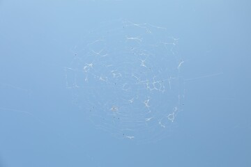 Beautiful cobweb under blue sky, low angle view