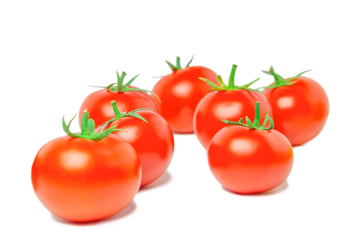 Group of ripe, juicy red tomato fruits with green twigs, illuminated by light highlights, isolated on a transparent white background, there are small translucent shadows. Blank for artworks, montage