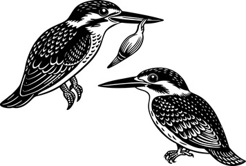 A kingfisher with a fish in its beak, isolated on a white background. Flying kingfisher silhouette vector style with white background.