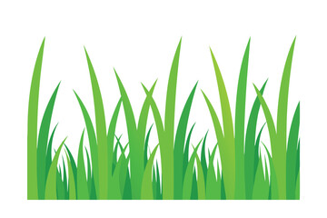 Fototapeta premium Vibrant Green Grass Blades Nature's Lush Texture