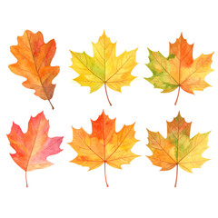 Watercolor Autumn Leaves Set – High Resolution PNG Clipart