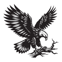 Fototapeta premium eagle vector illustration