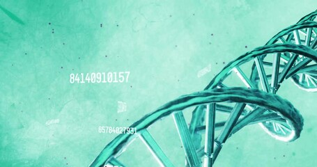 At start DNA double helix rotating while camera shifting along codes then growing for data scanning - Powered by Adobe