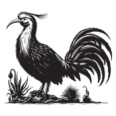 rooster in the garden