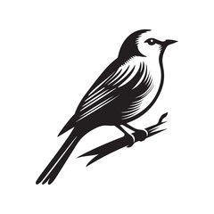 bird on a branch