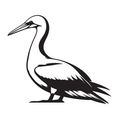 white pelican silhouette