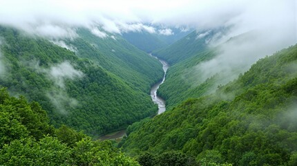 Misty mountain valley with winding river
