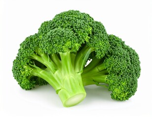 Fresh Green Broccoli Florets - Healthy and Nutritious Vegetable on white background 