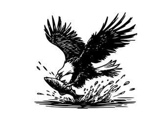 Bald Eagle hand drawn sketch vector illustration