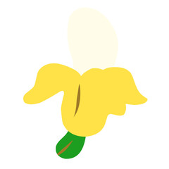 Banana vector illustration