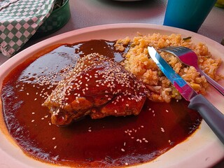 Mole con pollo y arroz