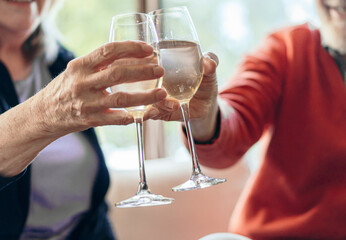A close-up view of two elderly hands gently clinking champagne glasses in a warm, intimate toast. The moment reflects love, celebration, and the joy of shared life experiences.