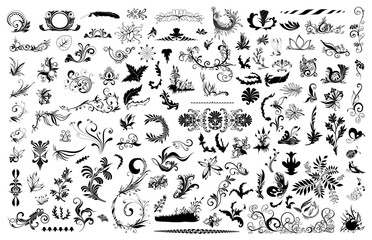 Best Floral Ornate Flourish Elements Pack: A comprehensive collection of ornate flourish elements, perfect for adding a touch of vintage charm to any design project.