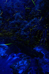 渓流の上を飛び交う蛍の光跡