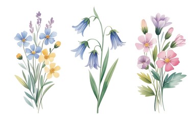 Watercolor illustration of delicate floral arrangements featuring wildflowers and botanical elements isolated on white background