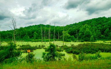 Lower Killbuck Creek Wildlife Area, Holmes County, Ohio