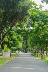 Fresh green lawns in the park. Blur nature bokeh green park trees in morning.