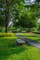 Fresh green lawns in the park. Blur nature bokeh green park trees in morning.