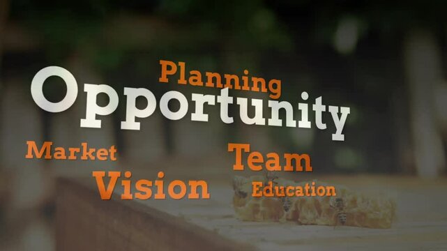 Starting Success fade-in, word-cloud shifting into Opportunity, showing honeycomb drifting upward