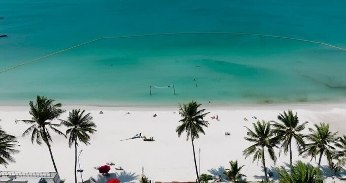 Tropical shoreline with vibrant palm trees and clear turquoise sea under sunny skies. Haad Rin. Ko Pha Ngan, Thailand.