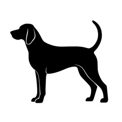 Silhouette of Bluetick Coonhound Standing Proudly with Tail Curled