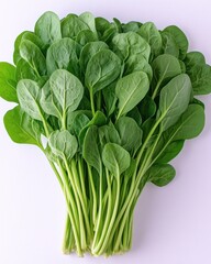 Fresh green leafy vegetable bunch