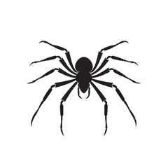 Fototapeta premium Spider Icon Silhouette on White Background