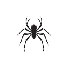 Obraz premium Thin-Leg Spider Silhouette Clipart on White
