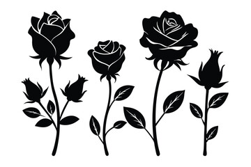 Obraz premium Beautiful Black Rose Flower Silhouettes with Buds and Leaves on a White Background